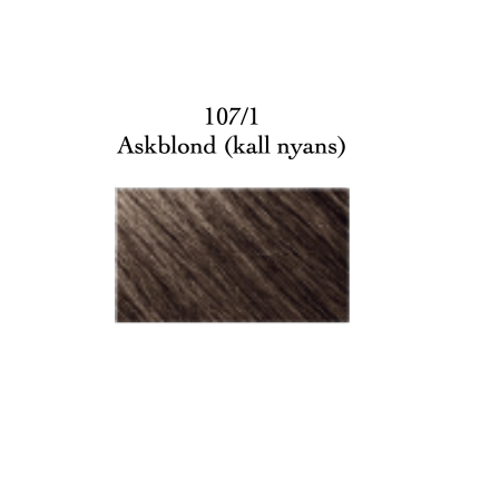 107/1 Askblond  Create  Image hair color